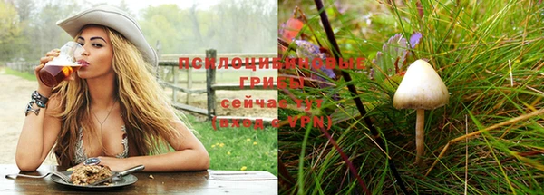 стафф Балабаново