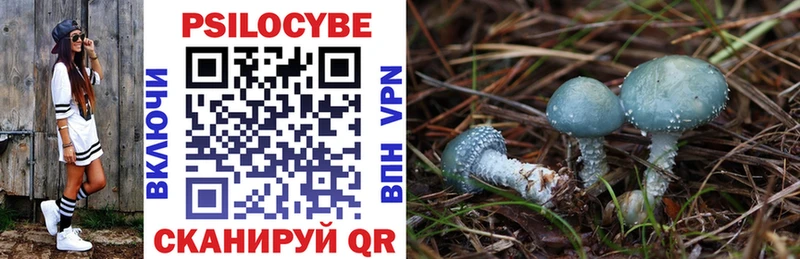 Псилоцибиновые грибы Magic Shrooms  даркнет сайт  Кстово 